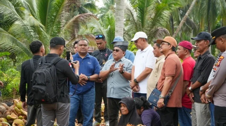 Delegasi Malaysia Jajaki Peluang Dagang Kelapa Kepulauan Meranti