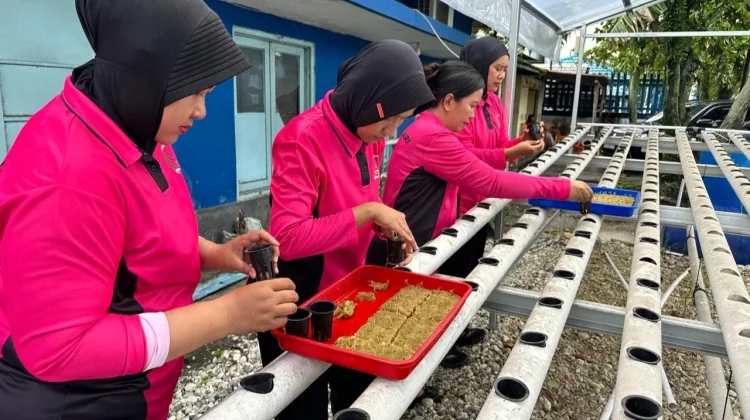 Bhayangkari KSKP Dumai Semai 260 Bibit Pakcoy Hidroponik Tahap III