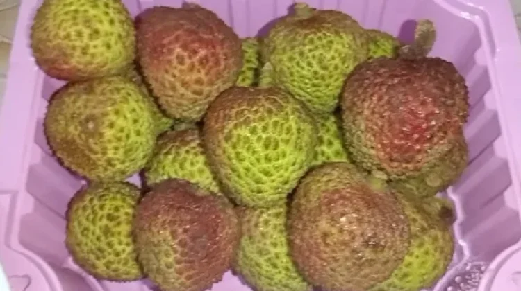 Makan Leci tiap Hari, ini 10 Manfaat Mengejutkan Buat Kesehatan Tubuh