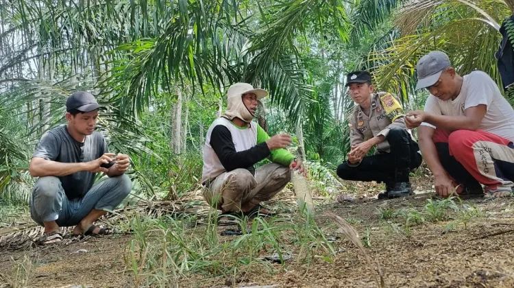 Bhabinkamtibmas dan Warga Mentayan Siap Sulap Lahan Kosong Jadi Kebun Jagung