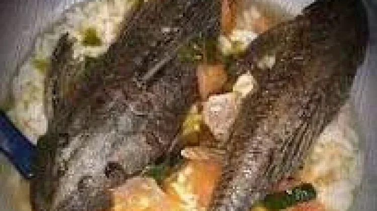 Bahaya Konsumsi Ikan Sapu Sapu