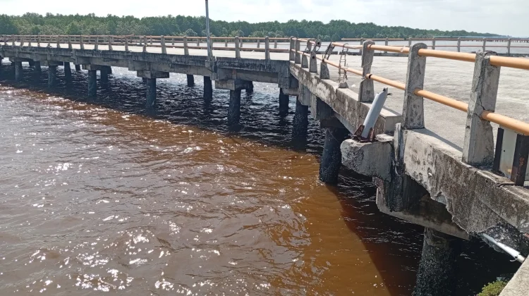 RoRo Sereia Domar Tabrak Dermaga BUMD, PT STL Siap Ganti Rugi