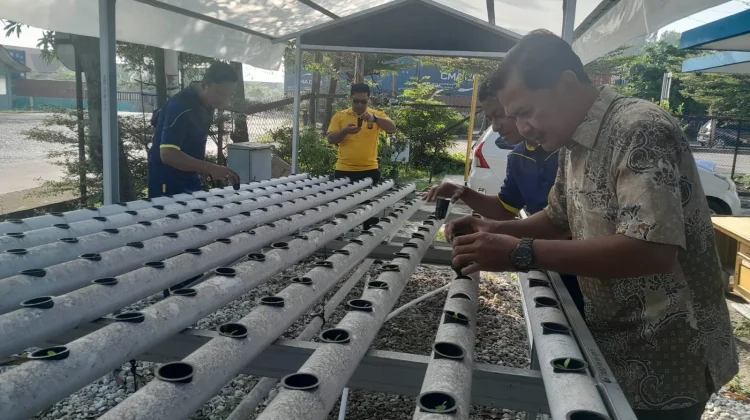Polsek Kawasan Pelabuhan Dumai Kembangkan Pakcoy Hidroponik Tahap III