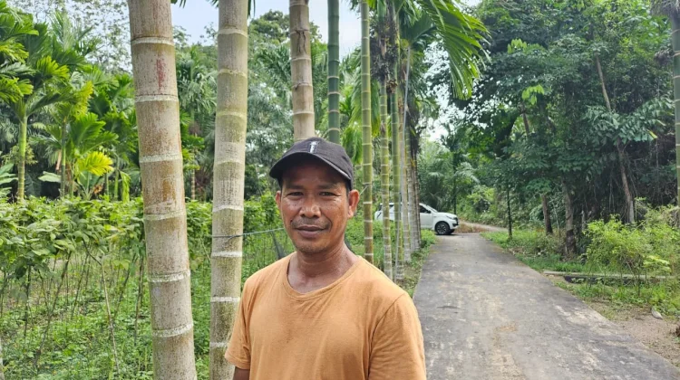 Usaha Sampingan Budidaya Kacang Panjang di Pekarangan Rumah Hasilkan Cuan