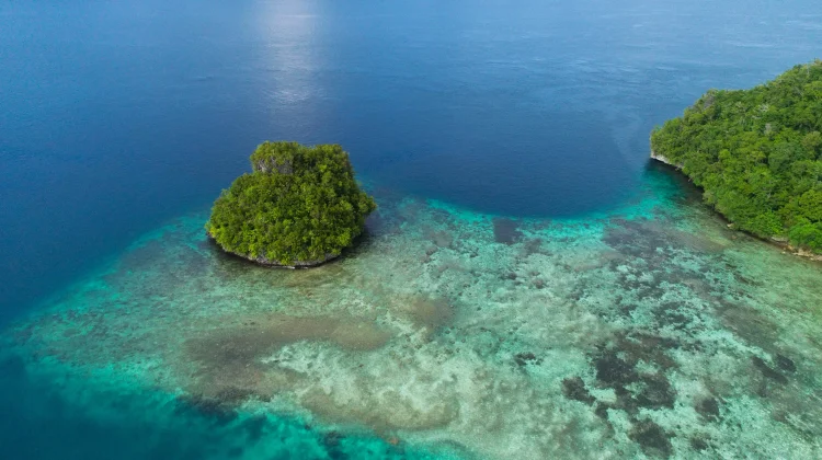 Daftar Negara Dengan Jumlah Pulau Terbanyak di Dunia