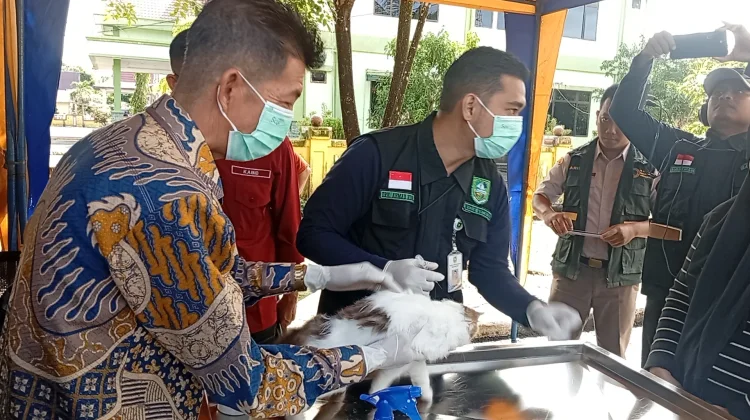 Vaksin Rabies Gratis Dimulai, Bengkalis Targetkan 2.500 Hewan
