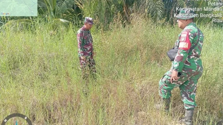 Babinsa Mandau Intensif Patroli Cegah Karhutla di Wilayah Rawan