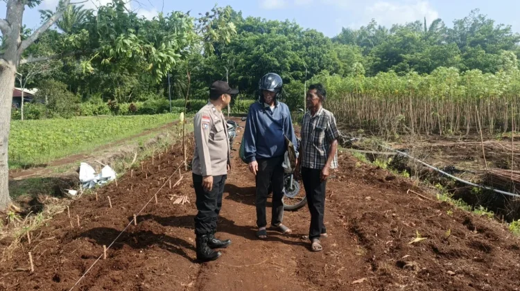 Polisi Cinta Petani Sambangi Kebun Ubi, Semangati Swasembada Pangan