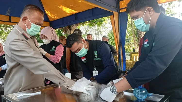 Ratusan Hewan di Bengkalis Terima Vaksin Rabies