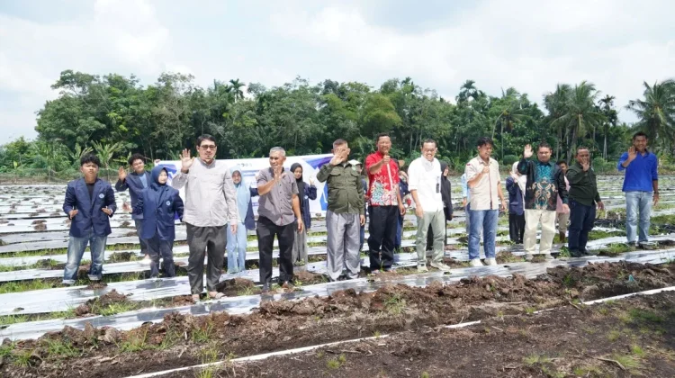 Polbeng Dampingi Petani Milenial Kembangkan Budidaya Cabai Berbasis Teknologi
