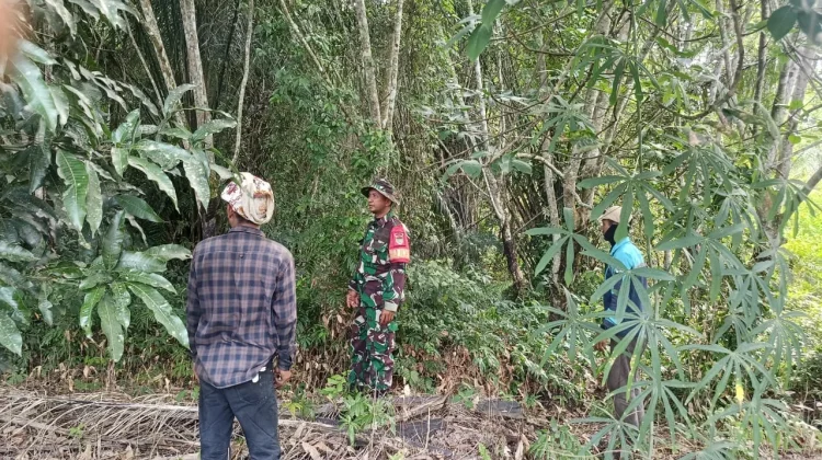 Babinsa Rupat Sisir Lahan Rawan, Pastikan Nol Karhutla di Pangkalan Nyirih