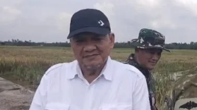 Panen Raya Padi Serentak, Desa Sepotong Jadi Lokasi Virtual bersama Presiden