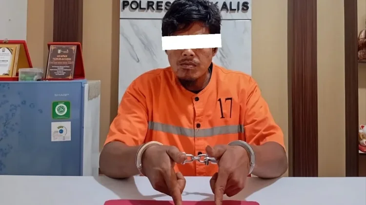 Polsek Pinggir Gagalkan Transaksi Sabu, Satu Pengedar Ditangkap