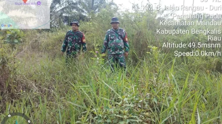 Babinsa Mandau Gencarkan Patroli Cegah Titik Api Karhutla