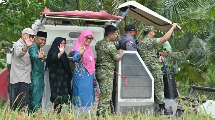 Panen Raya TNI Perkuat Ketahanan Pangan Bersama Petani