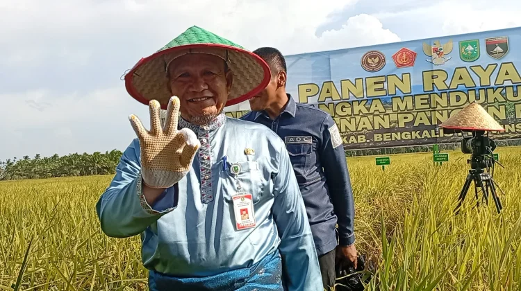 Pemkab Bengkalis Ajak Masyarakat Berinovasi Dorong Panen Padi Tiga Kali Setahun
