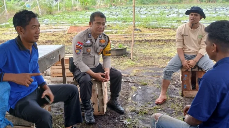 Bhabinkamtibmas Pambang Baru Dukung Swasembada lewat Tanam Jagung