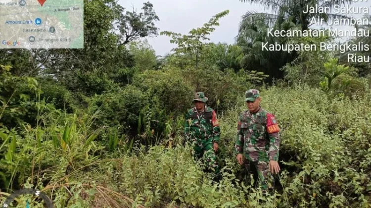 Babinsa 03/Mandau Perkuat Patroli Cegah Karhutla sejak Dini