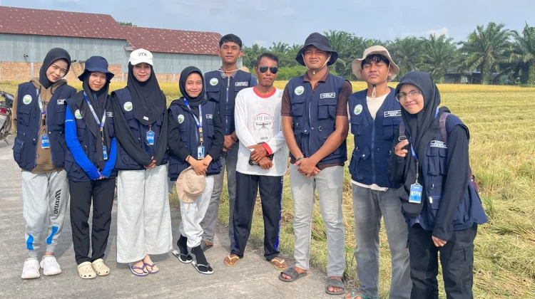 Sepekan KKM di Kemuning Muda Siak, Mahasiswa ISNJ Ikut Panen Raya Petani