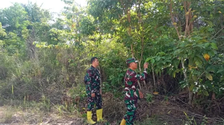 Patroli Intesif Babinsa 03/Mandau Cegah Titik Api Karhutla