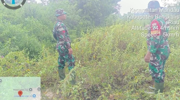 Babinsa Mandau Tingkatkan Patroli Cegah Karhutla sejak Dini