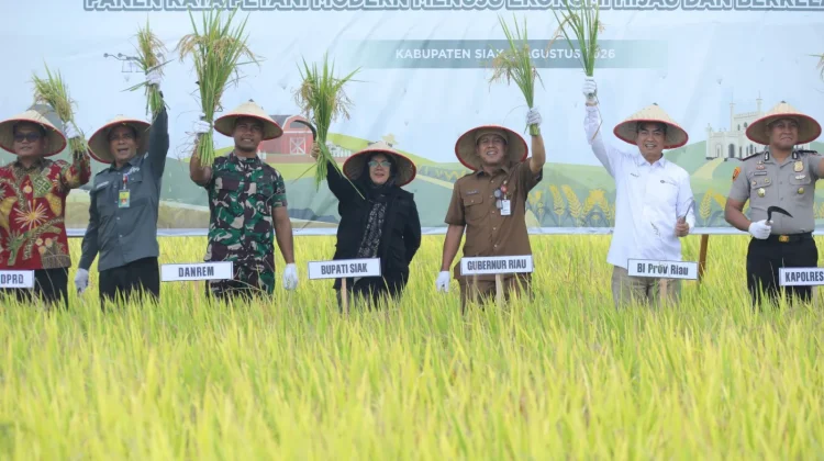 Smart Farming Tingkatkan Produktivitas Padi Petani Bunga Raya Siak