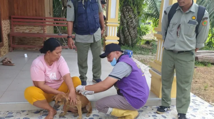Tiga Kasus Rabies Ditemukan di Bengkalis, Warga Diminta Waspada