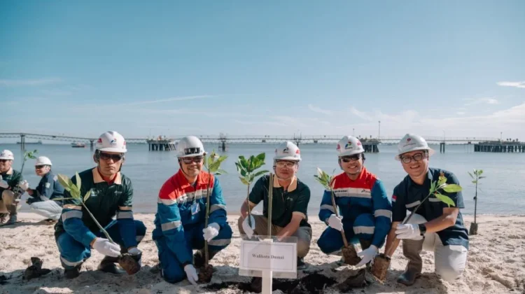 Tujuh Ratus Mangrove Ditanam di Marine Dumai, PHR Perkuat Komitmen Lingkungan