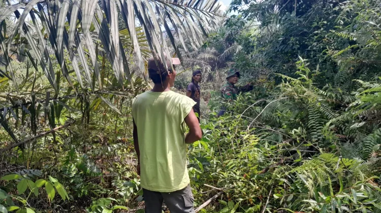 Babinsa Rupat Patroli Karhutla, Lahan Rawan di Teluk Lecah Dipantau