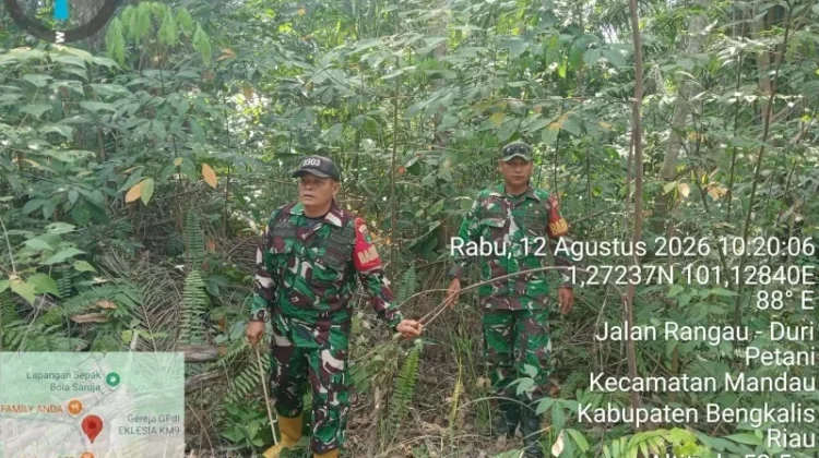 Rutinitas Babinsa Mandau Cegah Karhutla Dengan Patroli