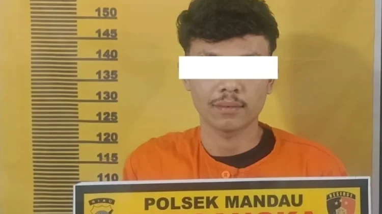 Polsek Mandau Tangkap DPO Kasus Ekstasi di Mandau