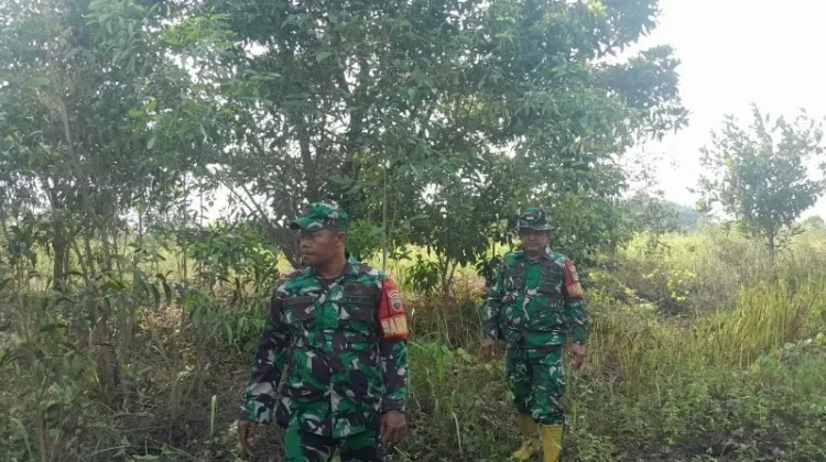 Patroli Cegah Karhutla Terus dilakukan Babinsa Mandau