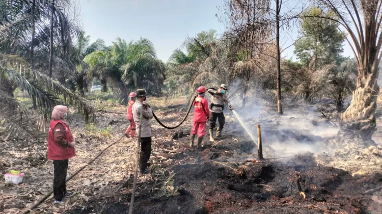Karhutla Tanjung Leban, Tim Gabungan Perkuat Pendinginan