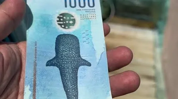 Uang 1.000 Rufiyaa Maladewa, Dinobatkan Sebagai Salah Satu Uang Terindah Dunia