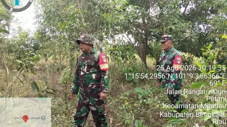 Babinsa Gencarkan Patroli Cegah Karhutla di Keamatan Pinggir