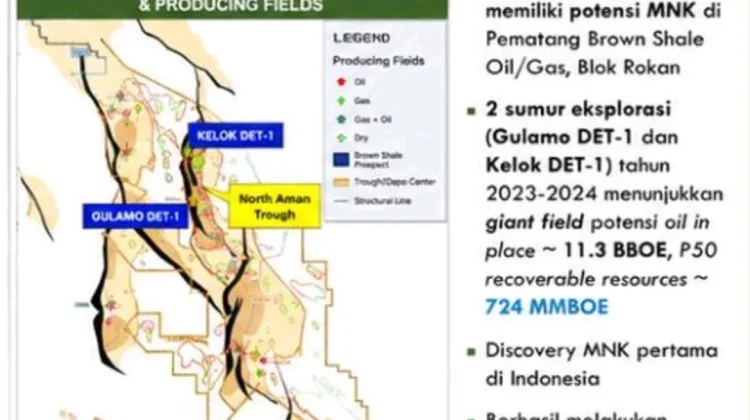 Kontrak MNK Resmi Diteken, Pertamina Berburu Cadangan Miliaran Shale Oil di Rokan
