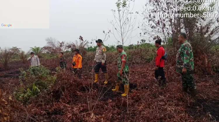Hujan Lebat Padamkan Karhutla Buluh Apo, Tim Gabungan Tetap Waspada