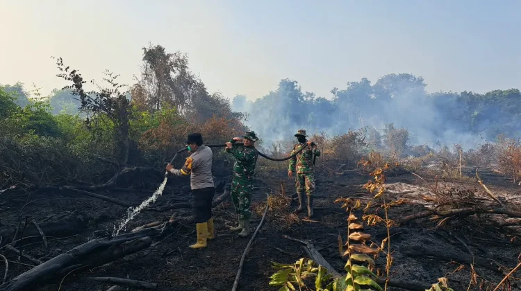 Karhutla Bengkalis Meluas, 6,3 Hektare Lahan Terbakar di Tiga Wilayah