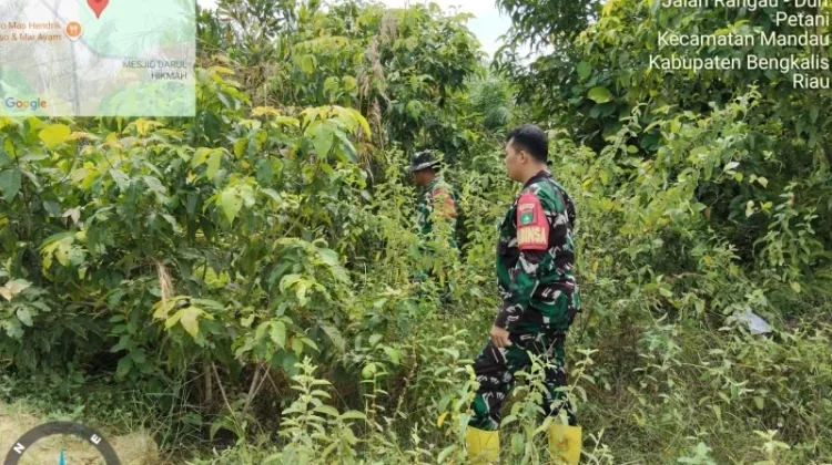 Cegah Karhutla, Babinsa Mandau Intensifkan Patroli