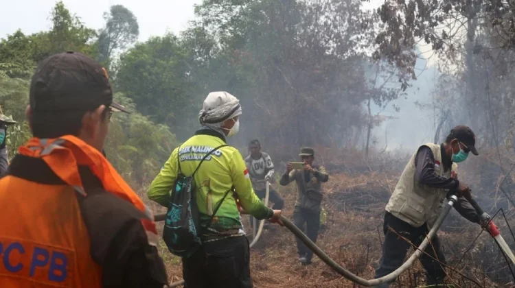 Sekda Meranti Turun Langsung Bantu Pemadaman Karhutla