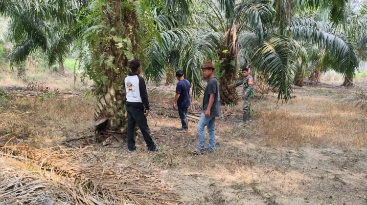 Cegah Karhutla, Babinsa dan Warga Patroli di Desa Sepotong