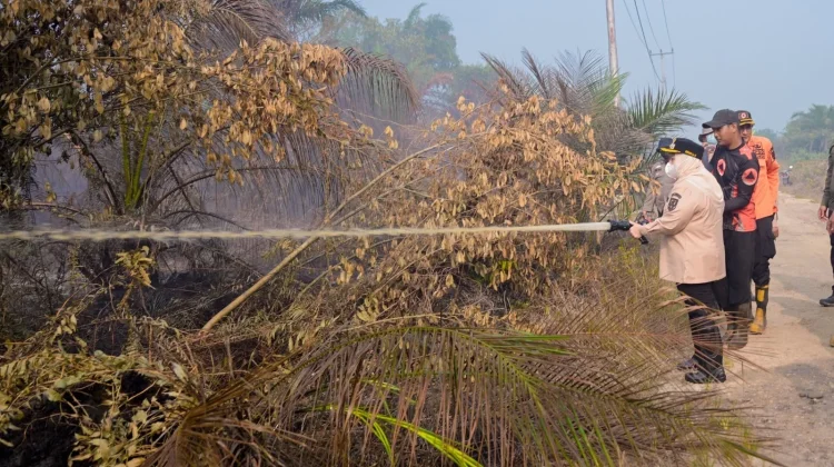 Bupati Kasmarni Turun Ikut Padamkan Karhutla Sungai Meranti