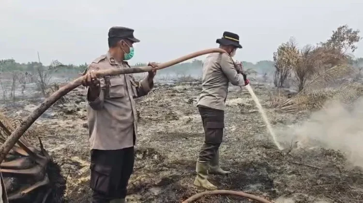 Api Belum Padam, Tim Gabungan Perkuat Penanganan Karhutla Bengkalis