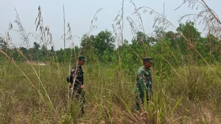 Babinsa Mandau Gencarkan Patroli Cegah Karhutla