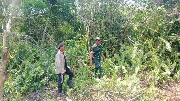 Patroli Karhutla di Rupat, TNI Pastikan Lahan Sri Tanjung Aman