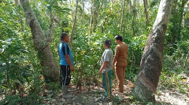 Babinsa Bengkalis Gencarkan Patroli Karhutla, Desa Sebauk Aman