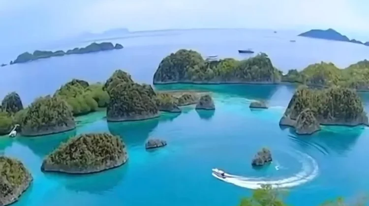 Jelajahi Raja Ampat, Destinasi Wisata Bahari dengan Kekayaan Alam Menakjubkan