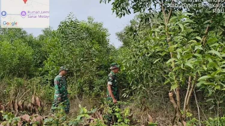 Patroli Rutin Babinsa Mandau di Awal Bulan Oktober 2026
