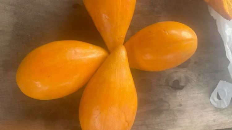 Buah Alkesa, Sawo Mentega yang Manis dan Kaya Nutrisi