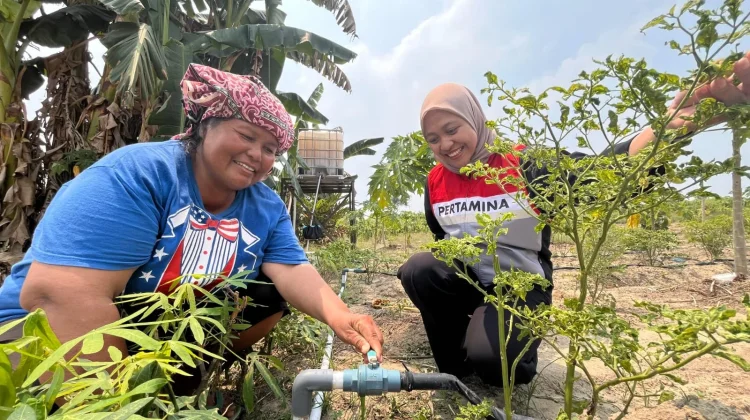 Atasi Air saat Kemarau, PHR Hadirkan Irigas Tetes Bagi Kelompok Tani Perawang